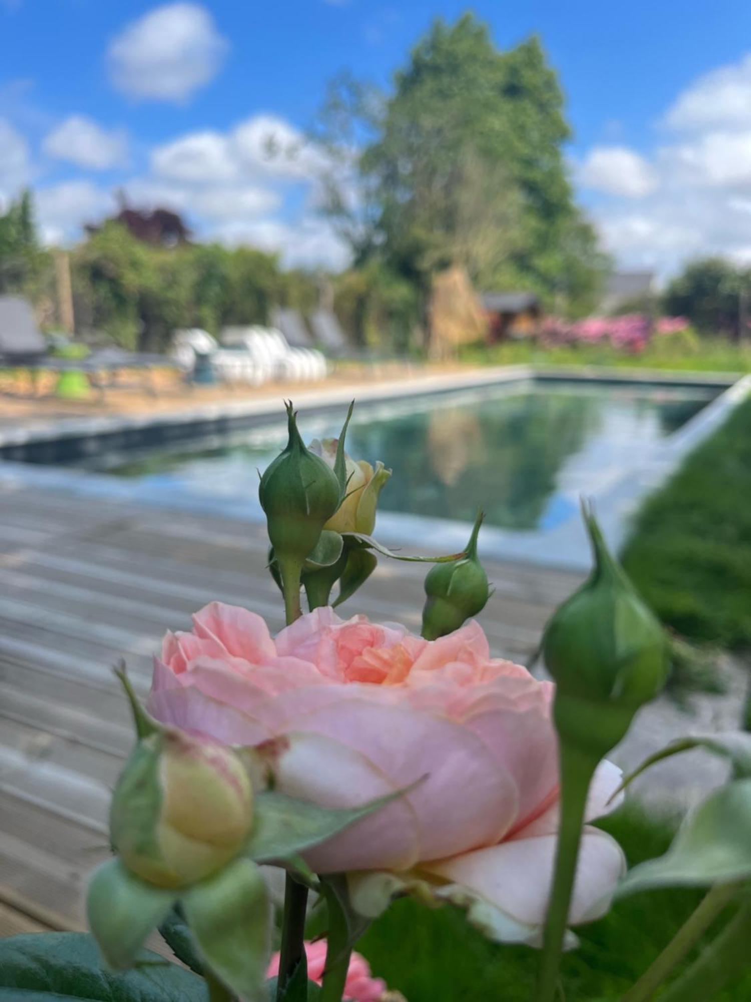 La_Grande_Guerais Bed and Breakfast Beaussais Sur Mer Εξωτερικό φωτογραφία